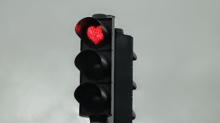 Прямая Трансляция Пользователя Tof_Sg