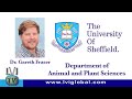 Tooth Regeneration! What can we learn from Sharks? - LVI TV: Episode 50
