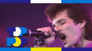Mink Deville - Pick Up The Pieces (Live) (1985) • Toppop