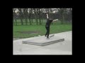 Fakie 540 Big Flip Manual Revert Shove it Manual 360 Flip to Fakie! More Insane Tricks!