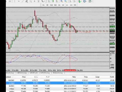 Forex 4 week rule indicator