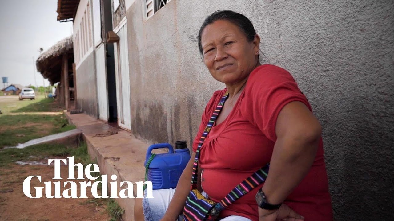 Death threats and deforestation: The Brazilian grandma battling illegal Amazon loggers