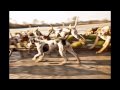 Irish Hunting Season 2009 2010 images Irish Hunting Season 2009 2010