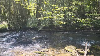 Watch The River Flow In A Magical Ambience Relaxing Meditation Sounds