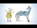How to spot a fad diet - Mia Nacamulli