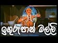 Iguru Pan Malli(ඉඟුරු පාන් මල්ලි)Sinhala Theme Song   #DanusBro