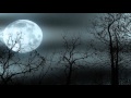 Moonlight Sonata [Ludwig van Beethoven]