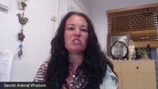 Power Animal Readings 2nd Nov 21