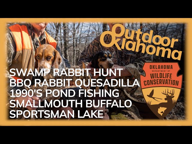 Watch Outdoor Oklahoma 4816 (Rabbit Hunt, Rabbit Quesadilla, Pond Fishing, Smallmouth Buffalo) on YouTube.