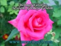 Menzil Ilahileri - Mehmet Karakuş - Seydamı Görmeye Geldim