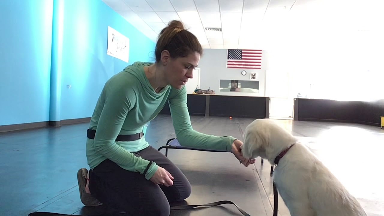 The Partner Program Weeks 1-2