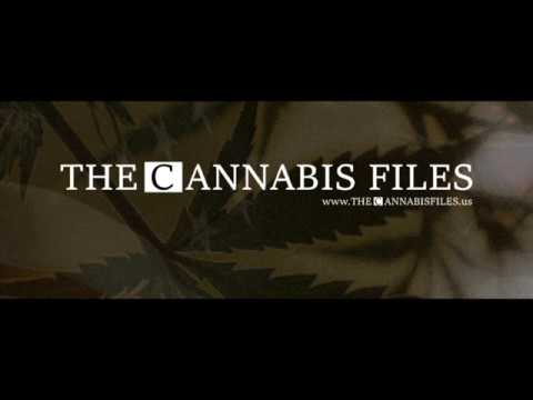 The Cannabis Files #001 feat Timothy Locke