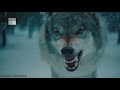 जानवरों द्वारा इंसानों पर किए गए 5 सबसे बड़े हमले। Top 5 Biggest Animal Attacks