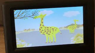 Baby Tv Bim And Bam In The Animal World A Giraffe