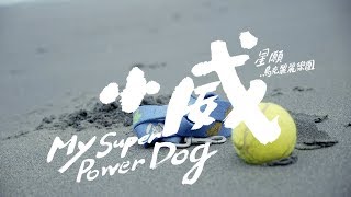 星願烏克麗麗樂團【小威 My Super Power Dog】Official Music Video