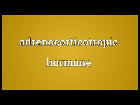 Header of adrenocorticotropic hormone