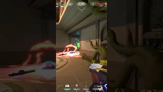 Did Phoenix Hot Hands Killed Skye Hawk? Comment Below