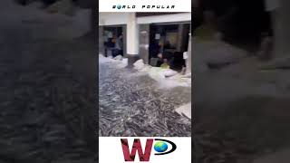 Flooded