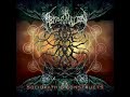 Kakistocracy Video preview