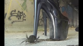 N39 Bug Crush Teaser - Black Boots And Crabs