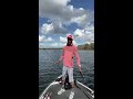 Fishing a Gambler Lures Super Stud for schooling bass!