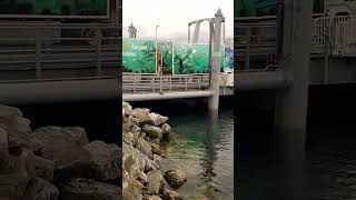 Atlanterhavsparken Aquarium Jugendstilstadt Aalesund E39 Fähre Sulavag