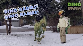 Dino Babies! Dino Babies! | Dino Dana Best Of