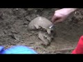 Exhumation of a mass grave of 14 German soldiers in Villeneuve-Loubet