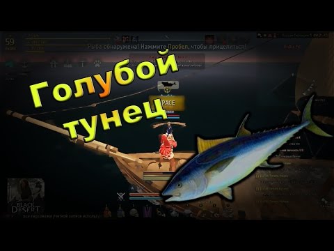 рыбная ловля в бдо рыбная ловля в бдо