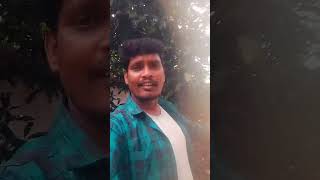 Singari Piyaari Piyaari Song Shots Ilayaraja Hits