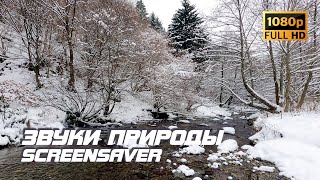 Живая Природа - Река | Звуки Природы | Звуки Реки | Шум Воды | Релакс | Снятие Стресса | Заставка Тв