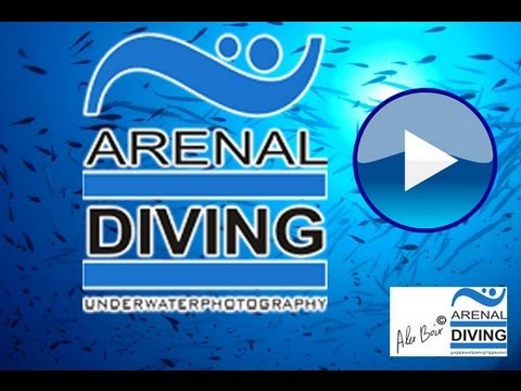 diving ibiza