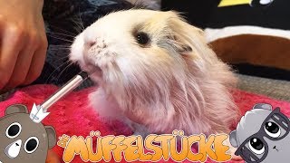 Watch Es Praline video