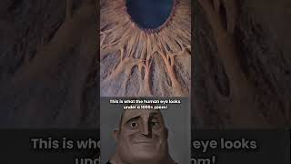 Human Eye In 1000X Zoom