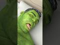 Marvel Animation 73% Hulk is dead!!!                                                         #shorts