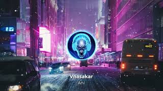 21+ Vnasakar - Ani (Armmusicbeats Remix) 2022