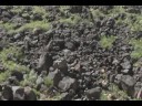 Petroglyph South America | RM. Petroglyph South America | RM.