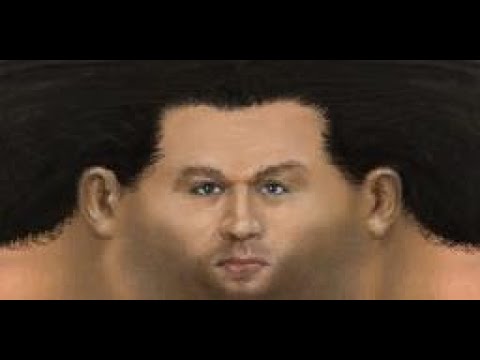 Gothic 1 Demake