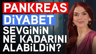 Pankreas - Diyabetin Duygusal Sebepleri Sevginin Ne Kadarını Alabildin? Nurcan Demircioğlu