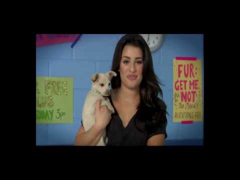 bethenny frankel peta ad. Glee Star Lea Michele#39;s PETA Ad. Glee Star Lea Michele#39;s PETA Ad