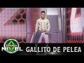 'Maldita traición' - Gallito de Pelea - Audiciones| A otro Nivel