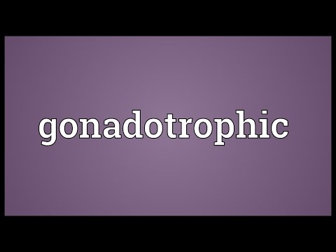 Header of gonadotrophic