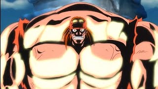 Luffy vs Bill Grizzly Magnum!