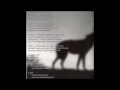 The Forthcoming Answer Video preview