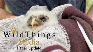 In the Beginning God Created the Heavens and the Earth - Wild Things Media 1 Year Update (2021)