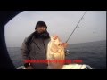 Kuşadası balık avı Kuşadası balık avı