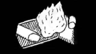 Flux Animation 1