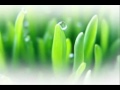 Green Barley Pure - Santé Barley Pure Video 1
