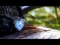 Tiempo De Amor Video preview