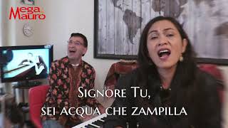 You raise me up (with special contribution)